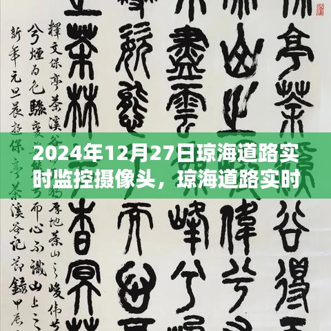 深入了解琼海道路实时监控摄像头的重要性及运作机制