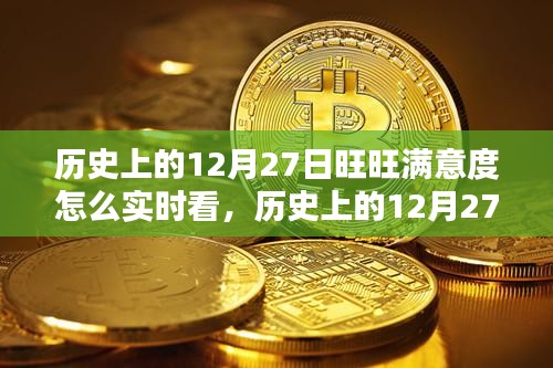 历史上的12月27日旺旺满意度实时查看指南，初学者与进阶用户必看