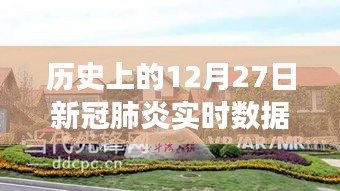 河北小镇温馨日常与新冠疫情下的实时数据背后的故事，历史视角下的十二月二十七日回顾