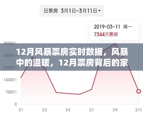 12月风暴票房背后的家庭观影时光，实时数据与温暖瞬间