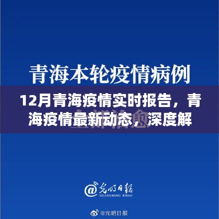 青海疫情深度解析，十二月实时报告与最新动态