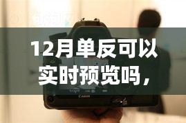 揭秘十二月单反相机实时预览功能，技术解析与应用体验