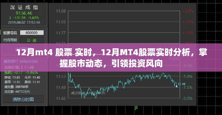 12月MT4股票实时分析，掌握股市动态，引领投资风向标