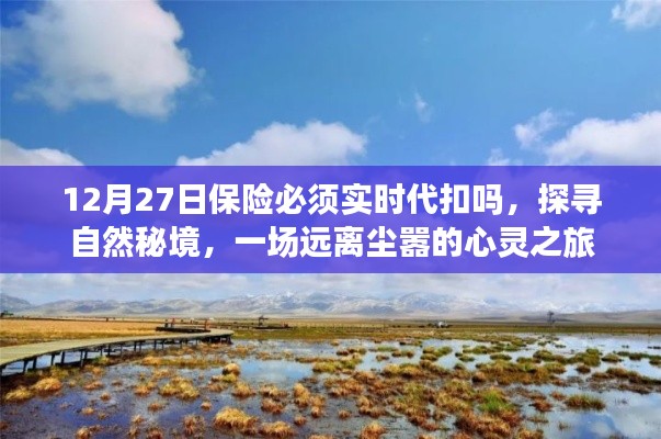 保险代扣与心灵之旅，探寻自然秘境的远离尘嚣之旅