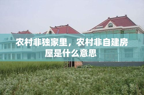 农村非独家里，农村非自建房屋是什么意思 