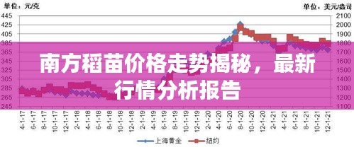 南方稻苗价格走势揭秘，最新行情分析报告