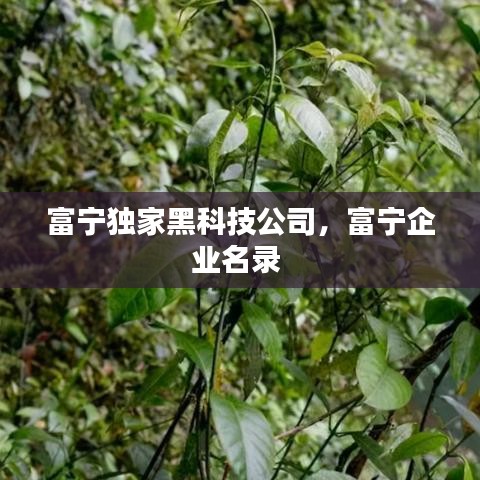 富宁独家黑科技公司，富宁企业名录 