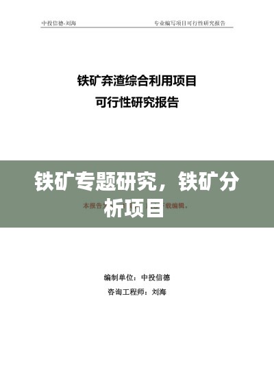 铁矿专题研究，铁矿分析项目 