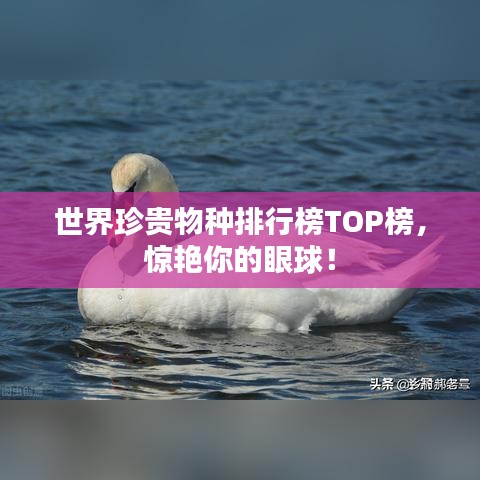 世界珍贵物种排行榜TOP榜，惊艳你的眼球！