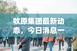 牧原集团最新动态，今日消息一网打尽