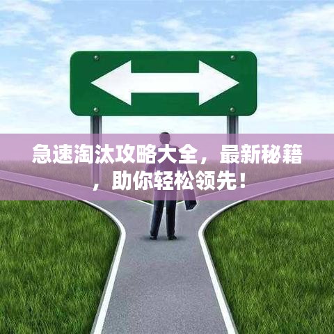 急速淘汰攻略大全，最新秘籍，助你轻松领先！