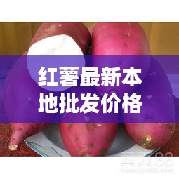 红薯最新本地批发价格表曝光