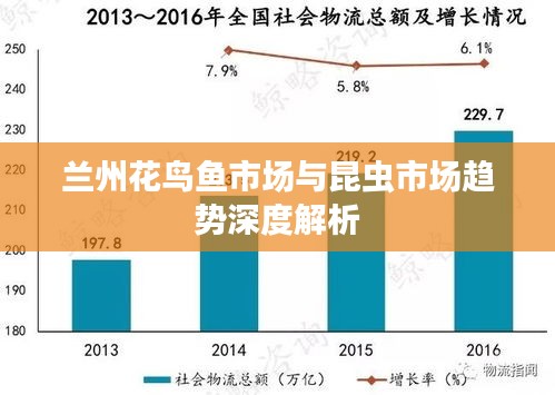 兰州花鸟鱼市场与昆虫市场趋势深度解析