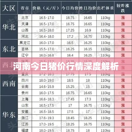 河南今日猪价行情深度解析