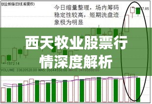 西天牧业股票行情深度解析