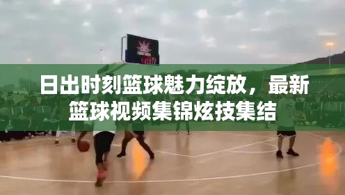 日出时刻篮球魅力绽放，最新篮球视频集锦炫技集结