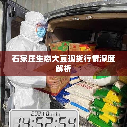 石家庄生态大豆现货行情深度解析