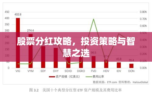 股票分红攻略，投资策略与智慧之选