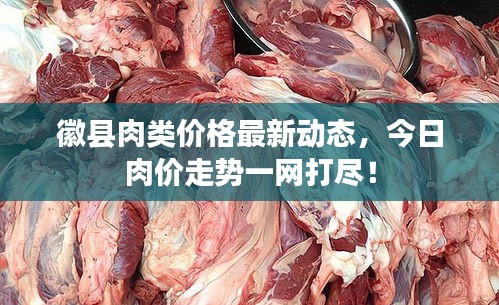 徽县肉类价格最新动态，今日肉价走势一网打尽！