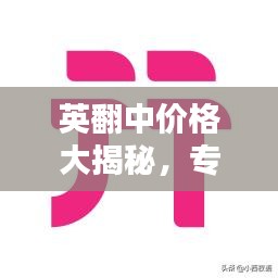 英翻中价格大揭秘，专业翻译收费标准一网打尽