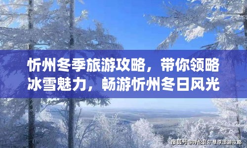 忻州冬季旅游攻略，带你领略冰雪魅力，畅游忻州冬日风光！