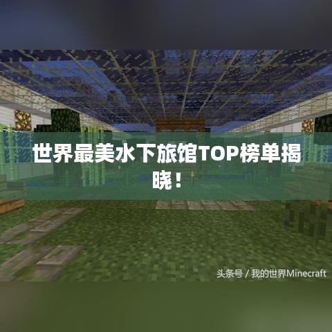 世界最美水下旅馆TOP榜单揭晓！