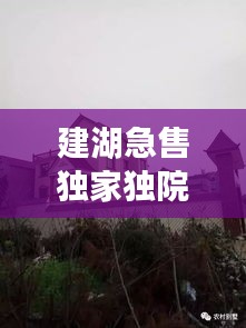 建湖急售独家独院，建湖哪里有30到40万的房子 