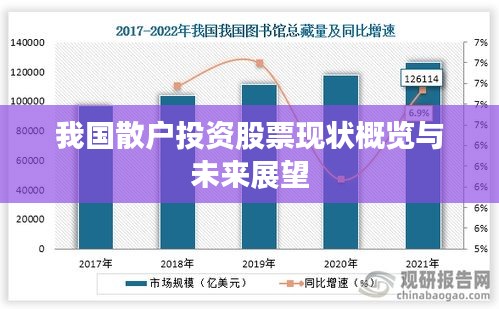 我国散户投资股票现状概览与未来展望