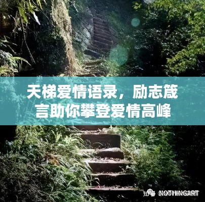 天梯爱情语录，励志箴言助你攀登爱情高峰