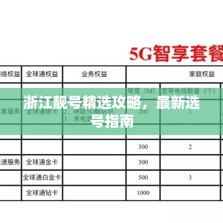 浙江靓号精选攻略，最新选号指南