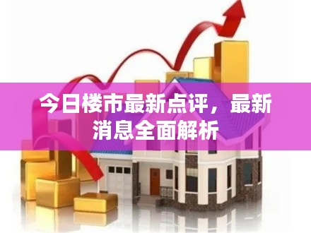 今日楼市最新点评，最新消息全面解析