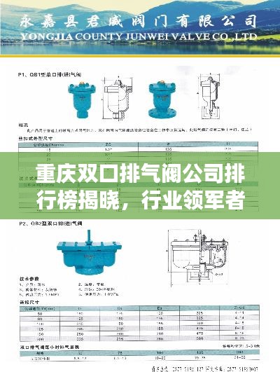 重庆双口排气阀公司排行榜揭晓，行业领军者榜单！