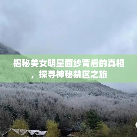 揭秘美女明星面纱背后的真相，探寻神秘禁区之旅