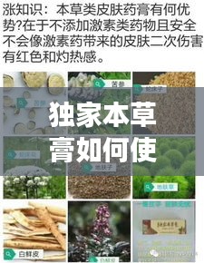 独家本草膏如何使用，独家本草膏有副作用吗 