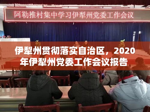 伊犁州贯彻落实自治区，2020年伊犁州党委工作会议报告 