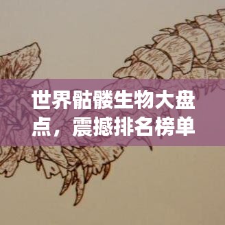 世界骷髅生物大盘点，震撼排名榜单