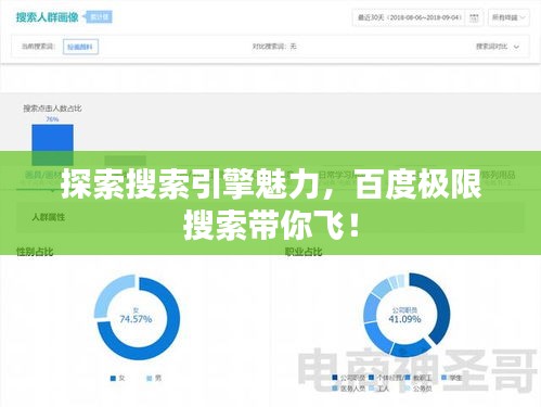 探索搜索引擎魅力，百度极限搜索带你飞！